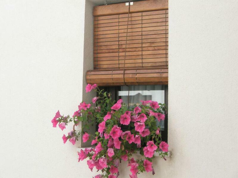 Apartamentos La Ribera Córdoba Buitenkant foto